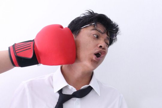 boxer